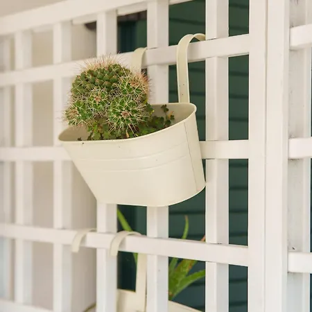 Zì Rosa San Nicola Arcella